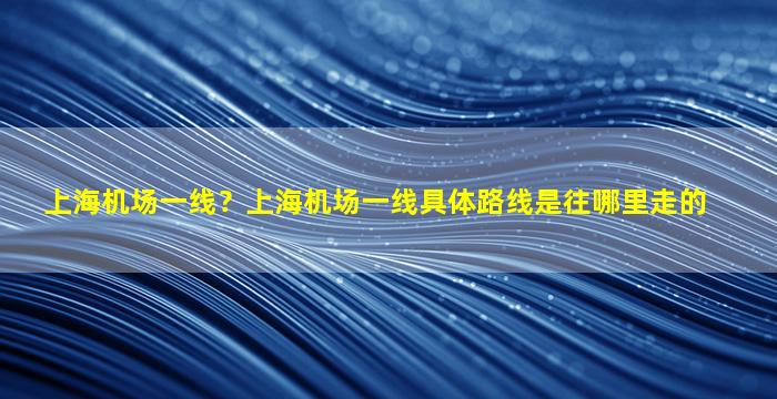 上海机场一线？上海机场一线具体路线是往哪里走的