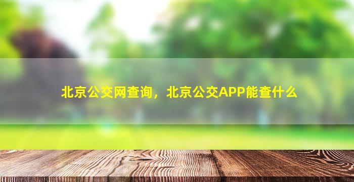 北京公交网查询，北京公交app能查什么