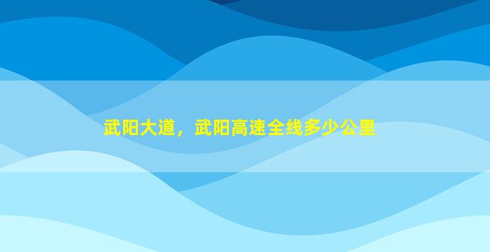 武阳大道，武阳高速全线多少公里